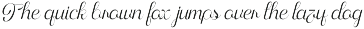 Monologue Elegant Luxury Script Font preview