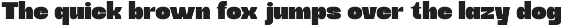Uneko Bold – A Playful Chunky preview