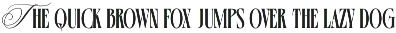 Velysha Grace – Hybrid Serif Script preview