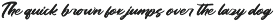 Dhaily Cluter - Bold Brush Font preview