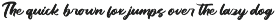 Dhaily Cluter - Bold Brush Font preview