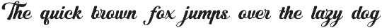 Brione — Retro Bold Script preview
