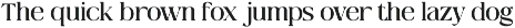 Qlaxe Serif – Update Italics preview