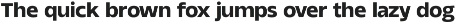 Magmir - Variable Typeface preview
