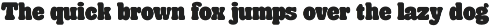 Blomry - Retro Modern Font preview