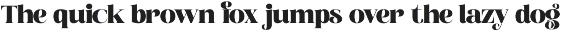 Broftin Resort Bold Serif Display preview