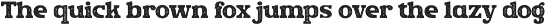 Rush Funky - Retro Serif Font preview