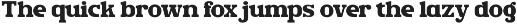 Rush Funky - Retro Serif Font preview