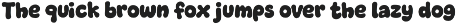 Frunkies – Chunky Bold Font preview