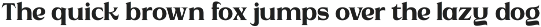 Strage - Luxury Serif Font preview