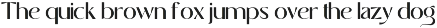 Begies - Modern Display Font preview