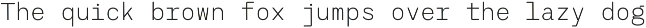 RCL Monoskrn – A Modern Monospaced preview