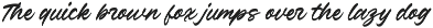 Verdons Wild - Vintage Brush Script preview