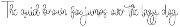 Rainbow Background preview