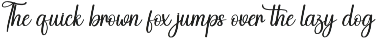 Wedding Monogram | Script Font preview