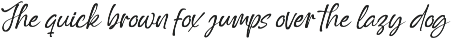 Outline Delighta Aesthetic Font preview