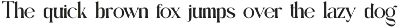 Wildora - Elegant Modern Serif preview