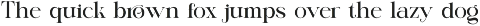 Malking - Luxury Serif Font preview