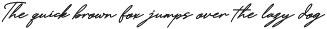 Fiorelyne | Handwritten Signature preview