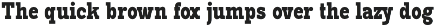 Pano Slab Condensed & Semi Condensed preview