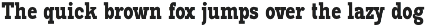 Pano Slab Condensed & Semi Condensed preview