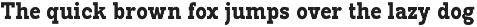 Pano Slab Condensed & Semi Condensed preview