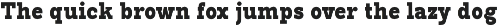 Pano Slab Condensed & Semi Condensed preview