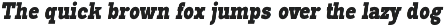 Pano Slab Condensed & Semi Condensed preview