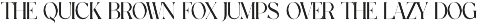 Pros - Elegant Serif preview