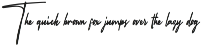 AUTHENTIC RADIO | Signature Logo preview