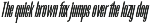 Fyntra Cybe Modern Narrow Sans Serif preview