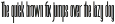 Fyntra Cybe Modern Narrow Sans Serif preview