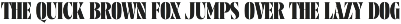 Grisen - Serif Display Font preview