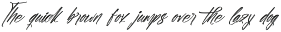 Shade Crush Bold Brush Font preview