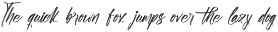 Shade Crush Bold Brush Font preview