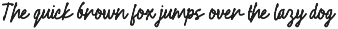 Zymera Modern Script Font preview