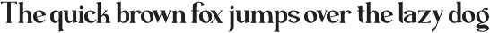 Zearlith - Modern Serif Font preview