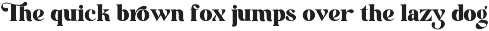 Treasure Times Bold Retro Serif Font preview