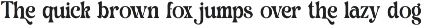 Quine Camera Elegant Serif Font preview