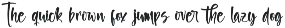 Butany Smooth Modern Brush Font preview