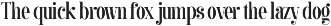 Bachon - Elegant Ligature Serif preview