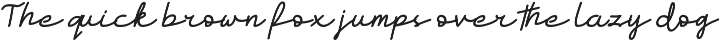 Sectro Minimalist Script preview