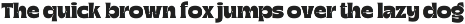 Graphy - Vintage Bold Font preview