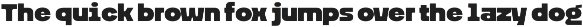 Figola - Geometric Sans Serif preview