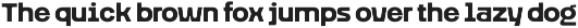 Figola - Geometric Sans Serif preview