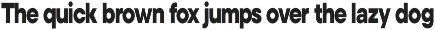 Noverion Sans preview