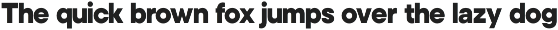 Noverion Sans preview