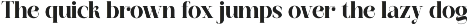 Belgina | Modern Unique Serif font preview