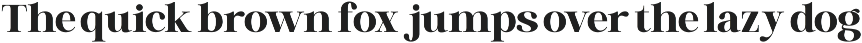 Elegant Serif for Luxury – Veluxa preview