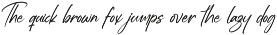 Estone Dreamwell Elegant Script Font preview